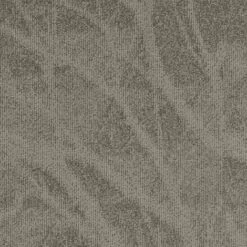 Balsan Forest "730" - Gris - 50 X 50 Cm