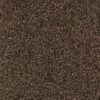 Balsan Script "790 Muscade" - Marron - 4 M