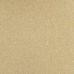 Balsan Sérénité "620 Champagne" - Beige / Crème - 4 M